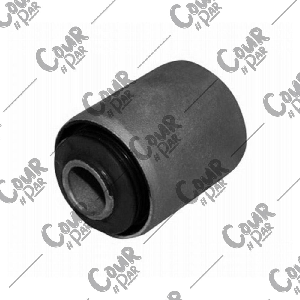 ALT SALINCAK BURCU R9.11.21 